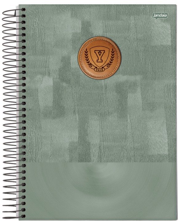 CADERNO ESPIRAL 1/4 CD YALE 